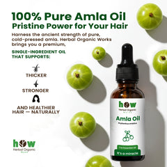 Amla Oil – Herbal Organic Works 100% Pure Cold-Pressed Oil for Hair & Skin | 1 oz Amber Glass Bottle with Dropper