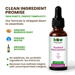 Burdock Root Extract – 100% Pure Herbal Tincture 30ml