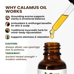 Calamus Essential Oil – Herbal Organic Works Premium Oil for Diffuser, Massage & Skincare | 1 oz Glass Bottle