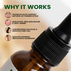 Babchi (Bakuchi) Oil – Herbal Organic Works 100% Pure Cold-Pressed Oil for Hair Color & Skin Glow | 1 oz Bottle