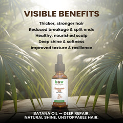 Batana Oil – Herbal Organic Works 100% Pure Natural Hair Growth & Repair Oil | 1 oz Glass Bottle with Dropper