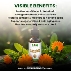 Calendula Flower Oil – 100% Pure & Natural 1 oz