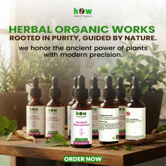 Burdock Root Extract – 100% Pure Herbal Tincture 30ml