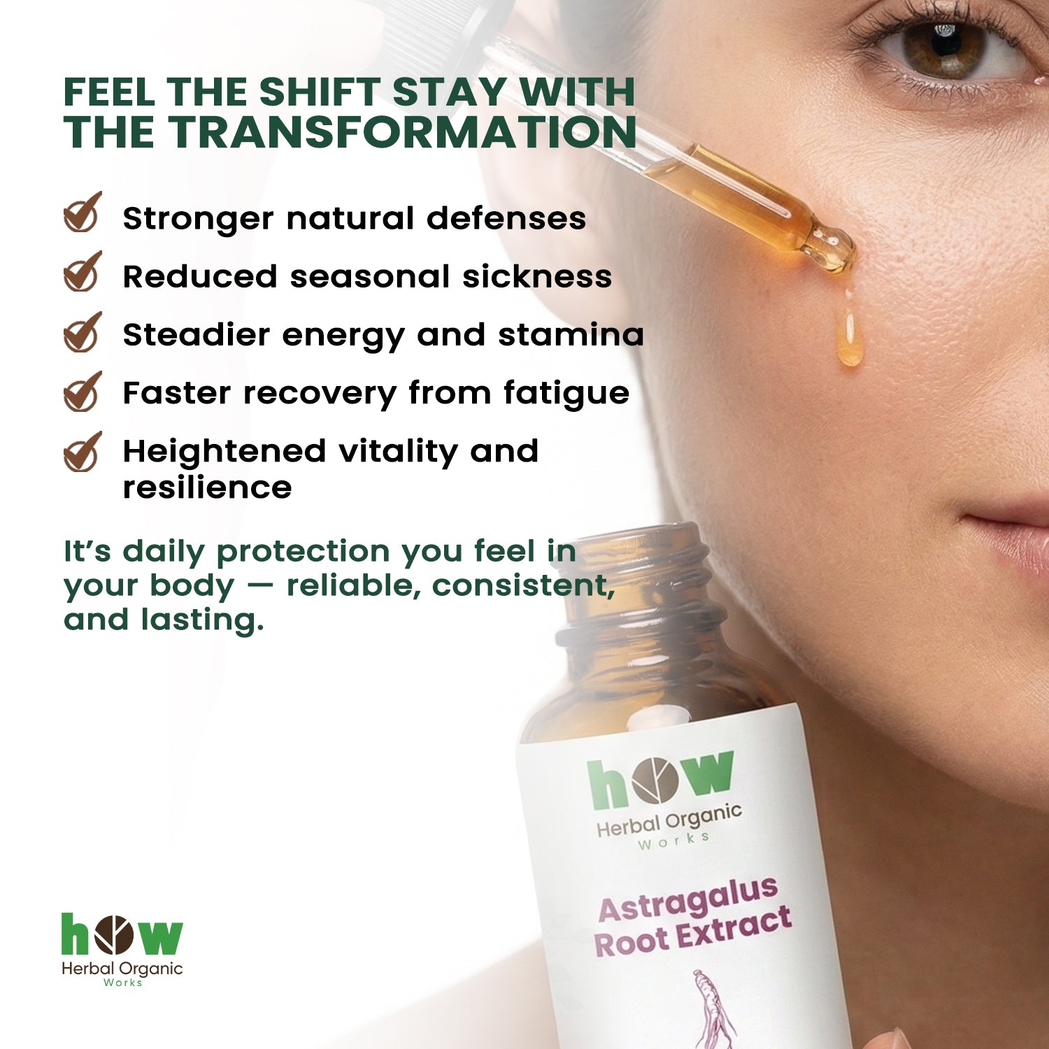 Astragalus extract benefits