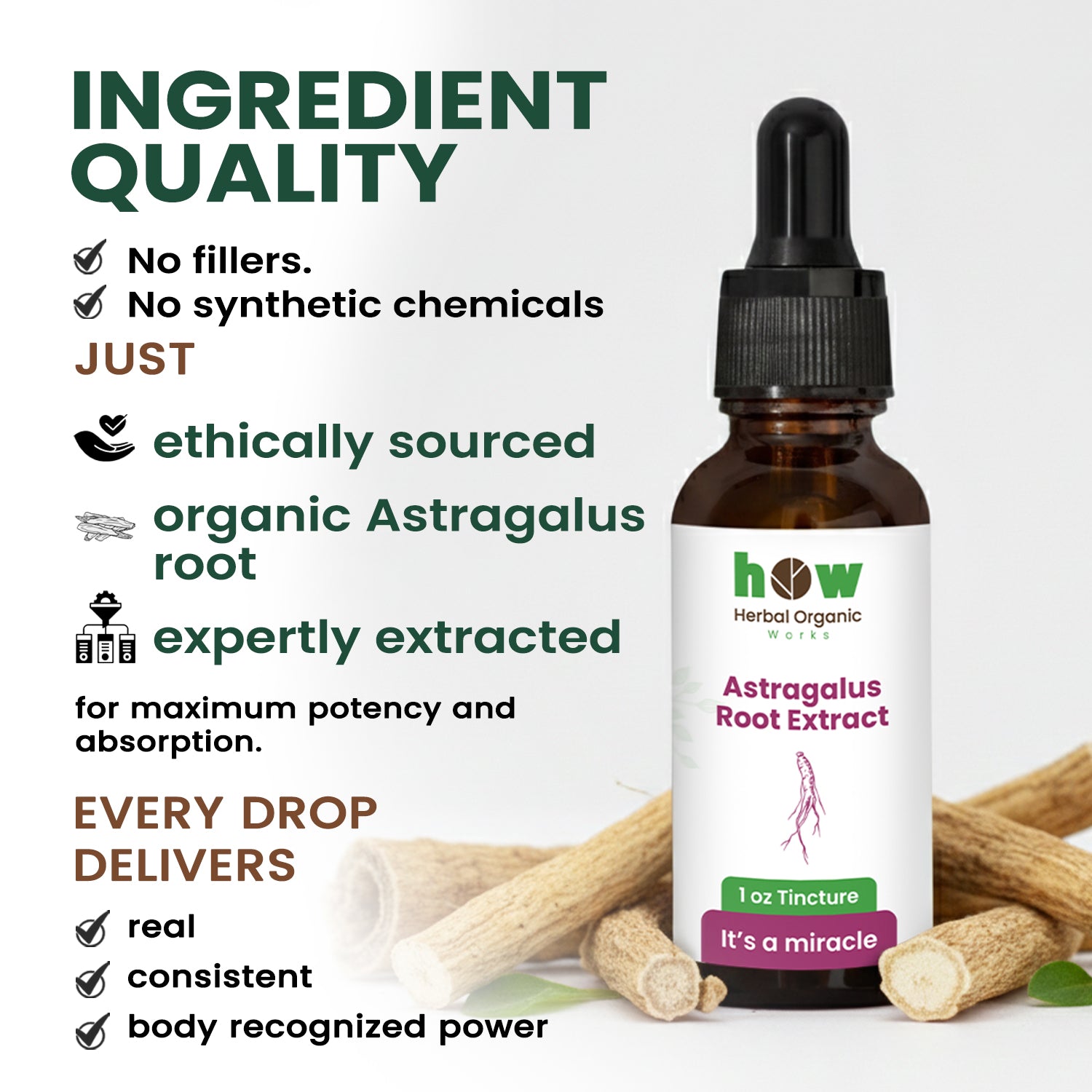 Astragalus extract ingredients