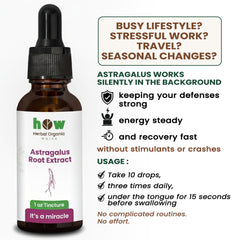 Astragalus extract uses