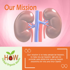 BLADDER SUPPORT AND KIDNEY CLEANSER