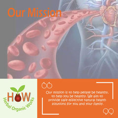 BLOOD FLOW SUPPORT-(HOW252)