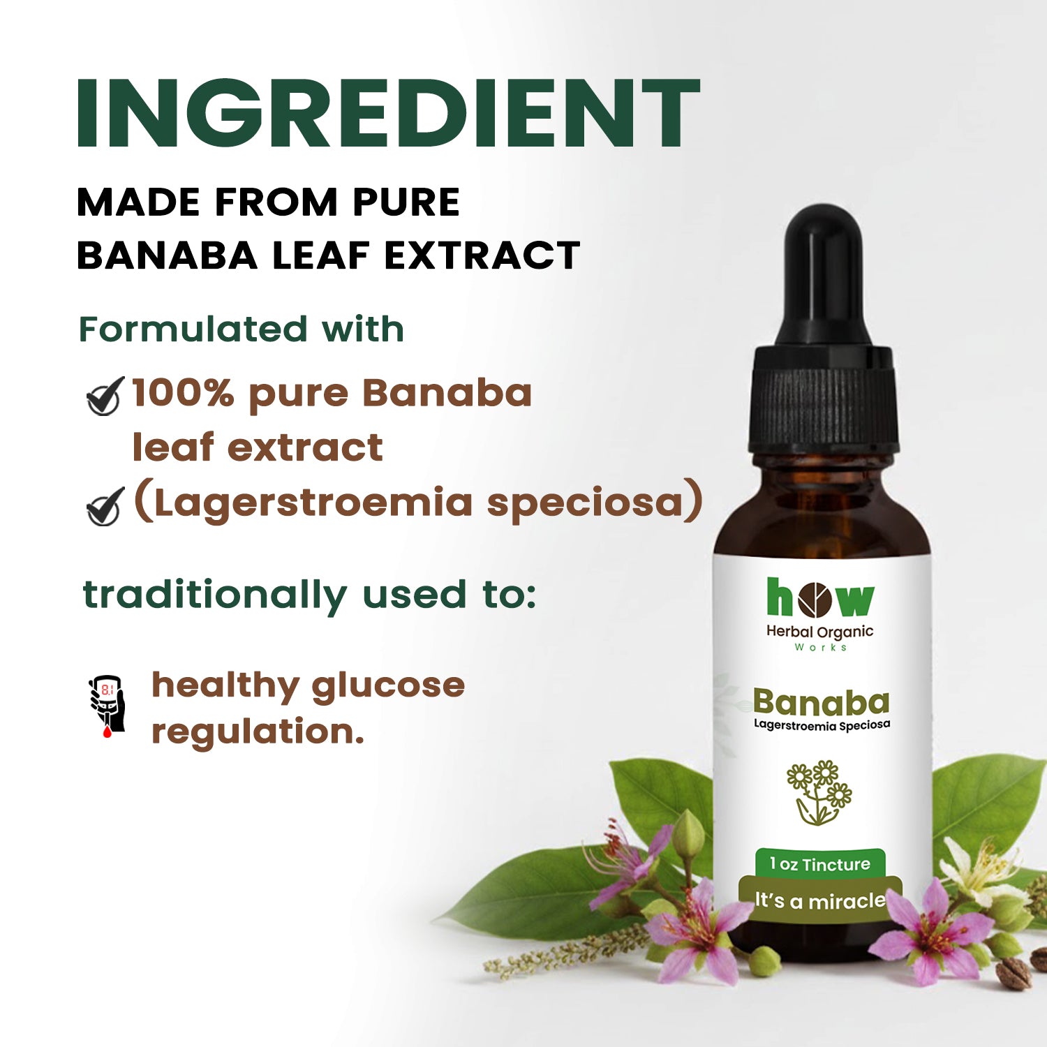 Banaba tincture ingredients