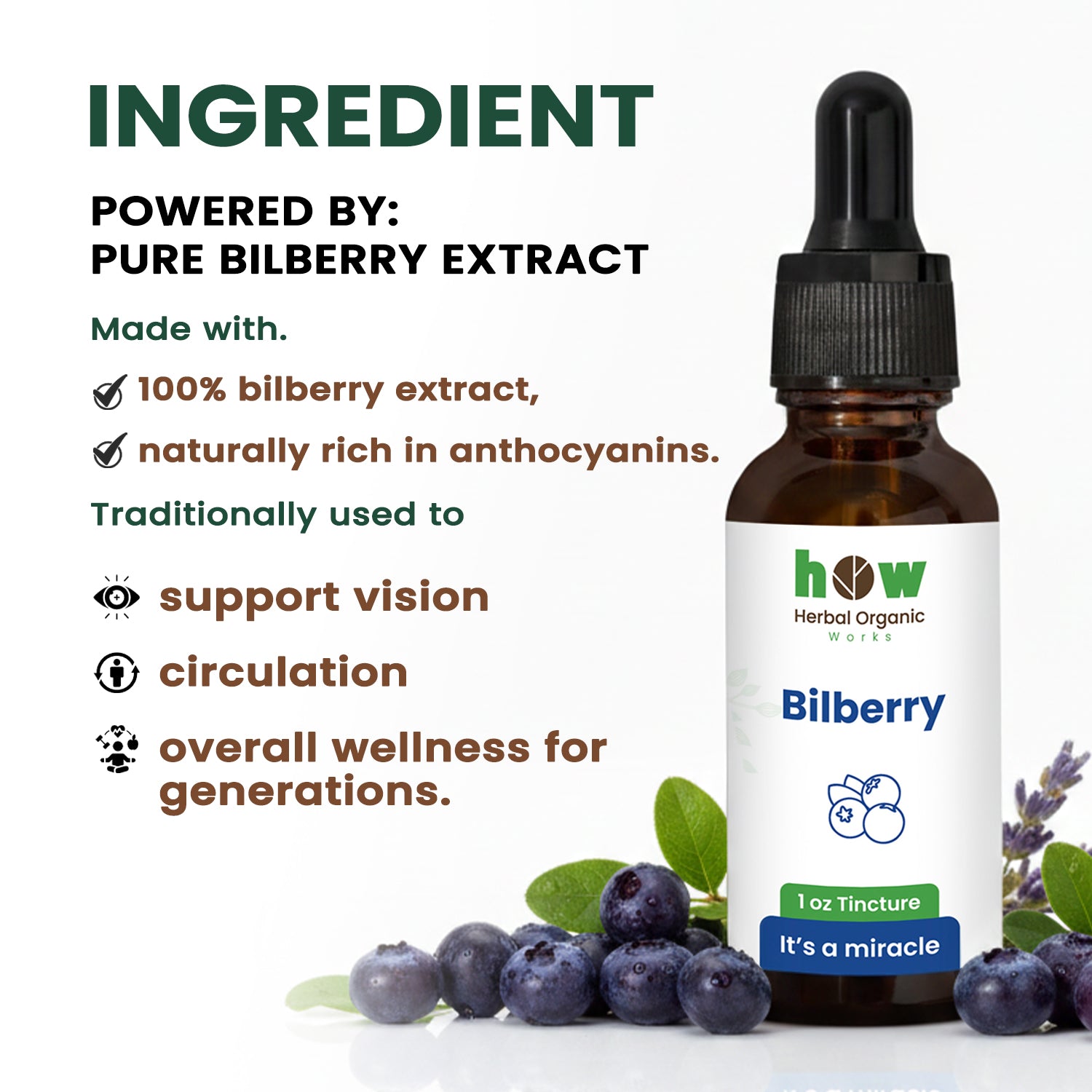 Bilberry extract ingredients