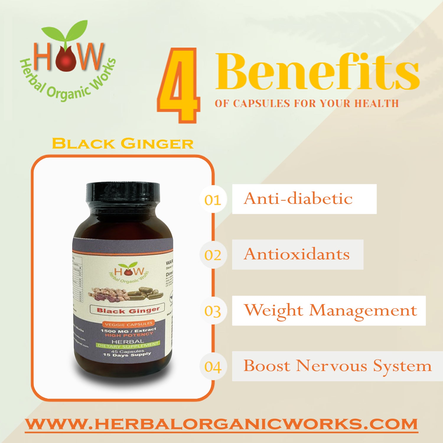 Black Ginger Supplements