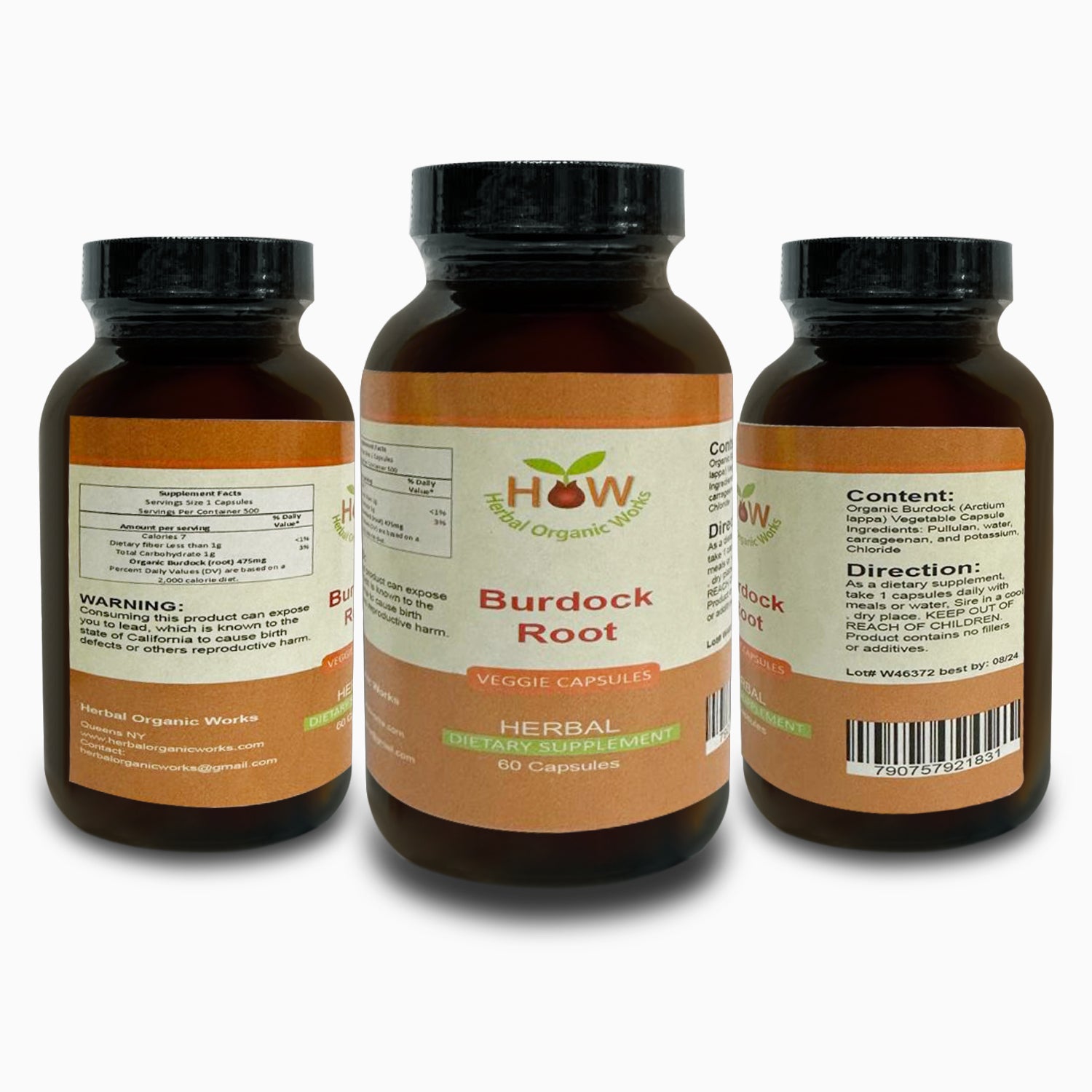 Burdock Root | Blood Cleanser