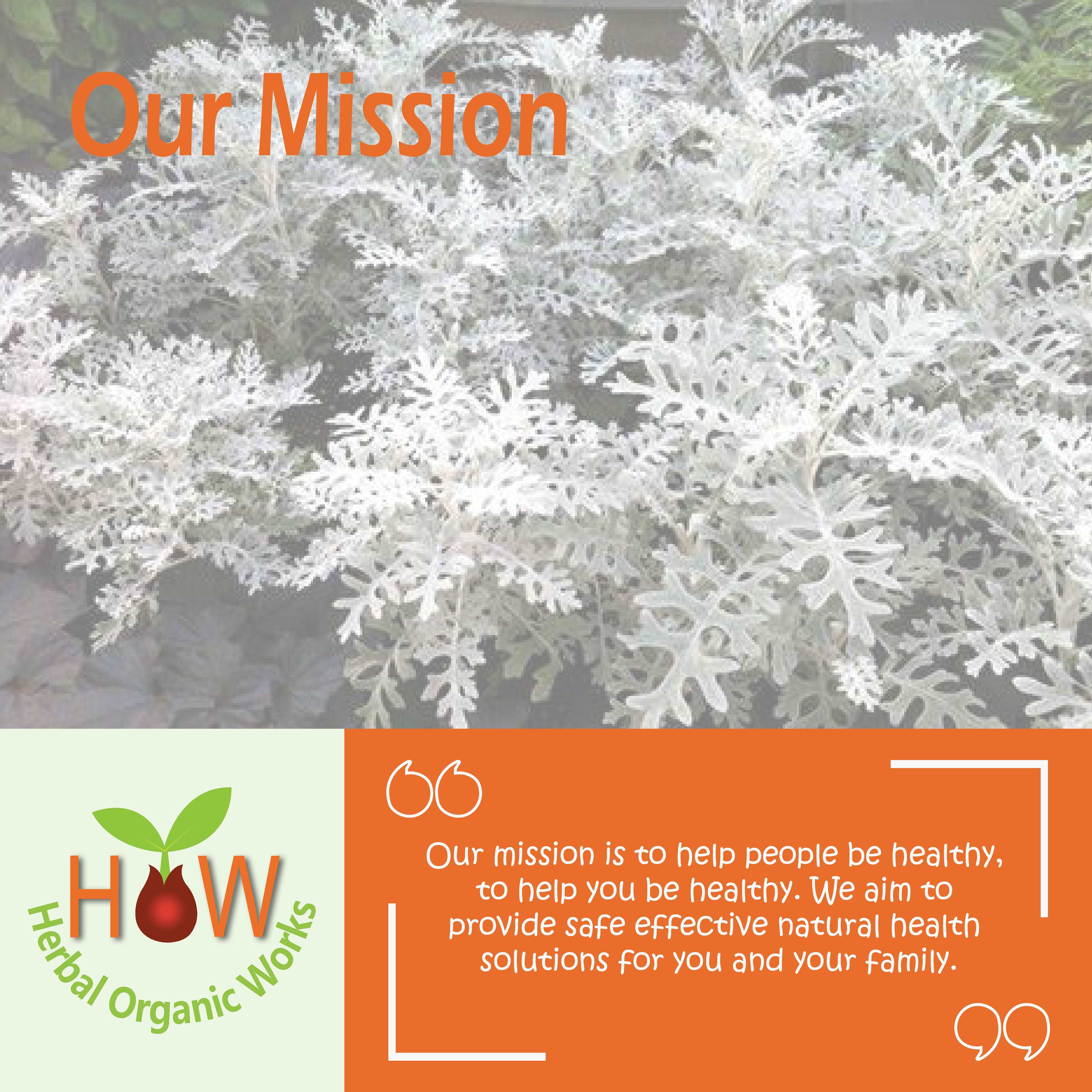 CINERARIA MAR 30C | SUPPORT FROM EYE INFECTION