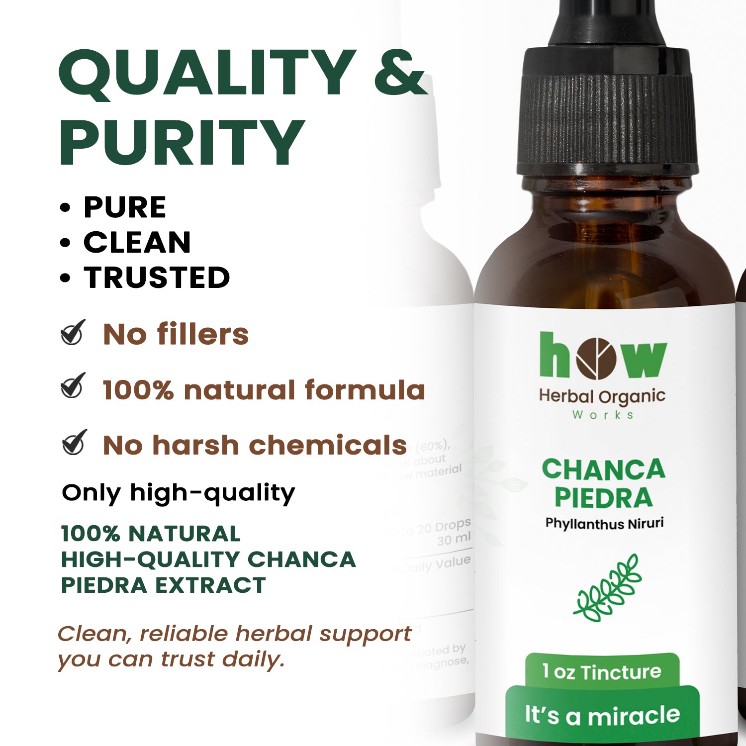 Chanca piedra Tincture quality
