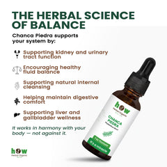 Chanca piedra Tincture works