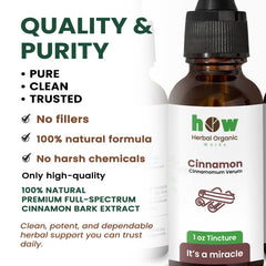 Cinnamon Tincture for Natural Digestion and Metabolism Support