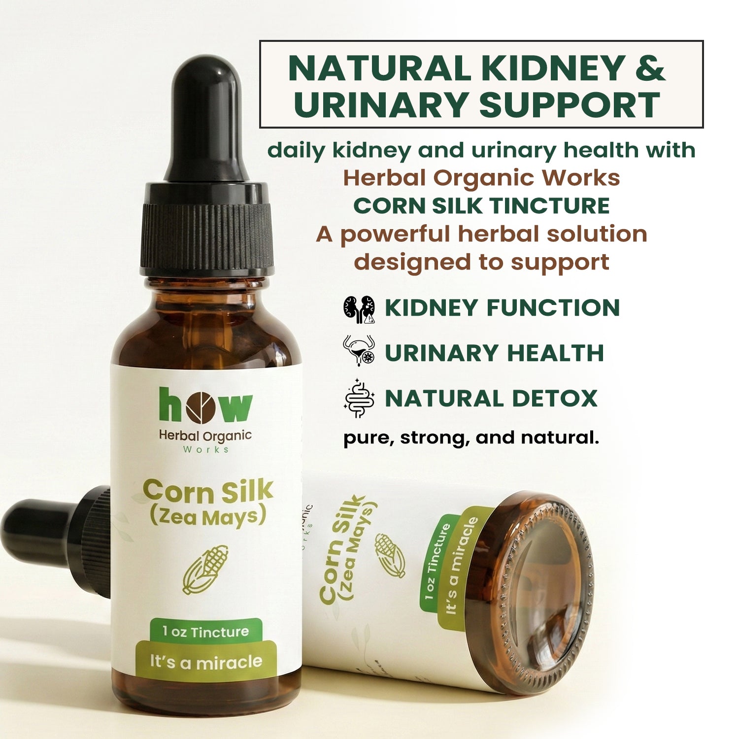 Corn silk extract for kidney