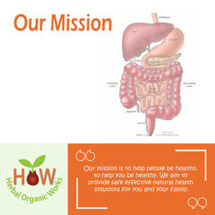 DIGESTIVE AID FOR IMPROVED ABSORPTION OF NUTRIENTS (HOW213)