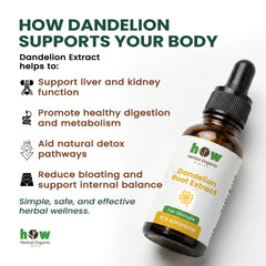 Dandelion root extract for body