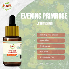 Evening Primrose