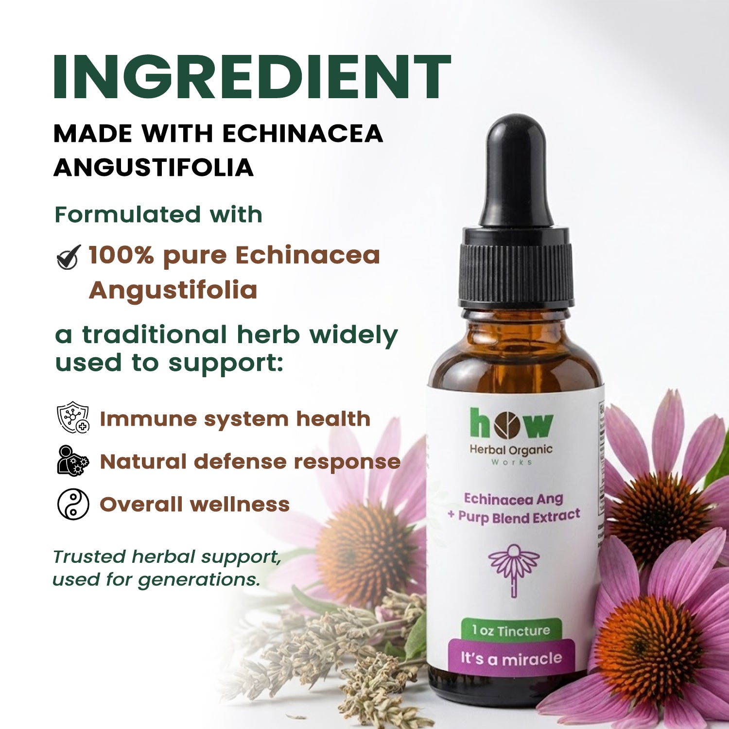 Echinacea angustifolia extract ingredients