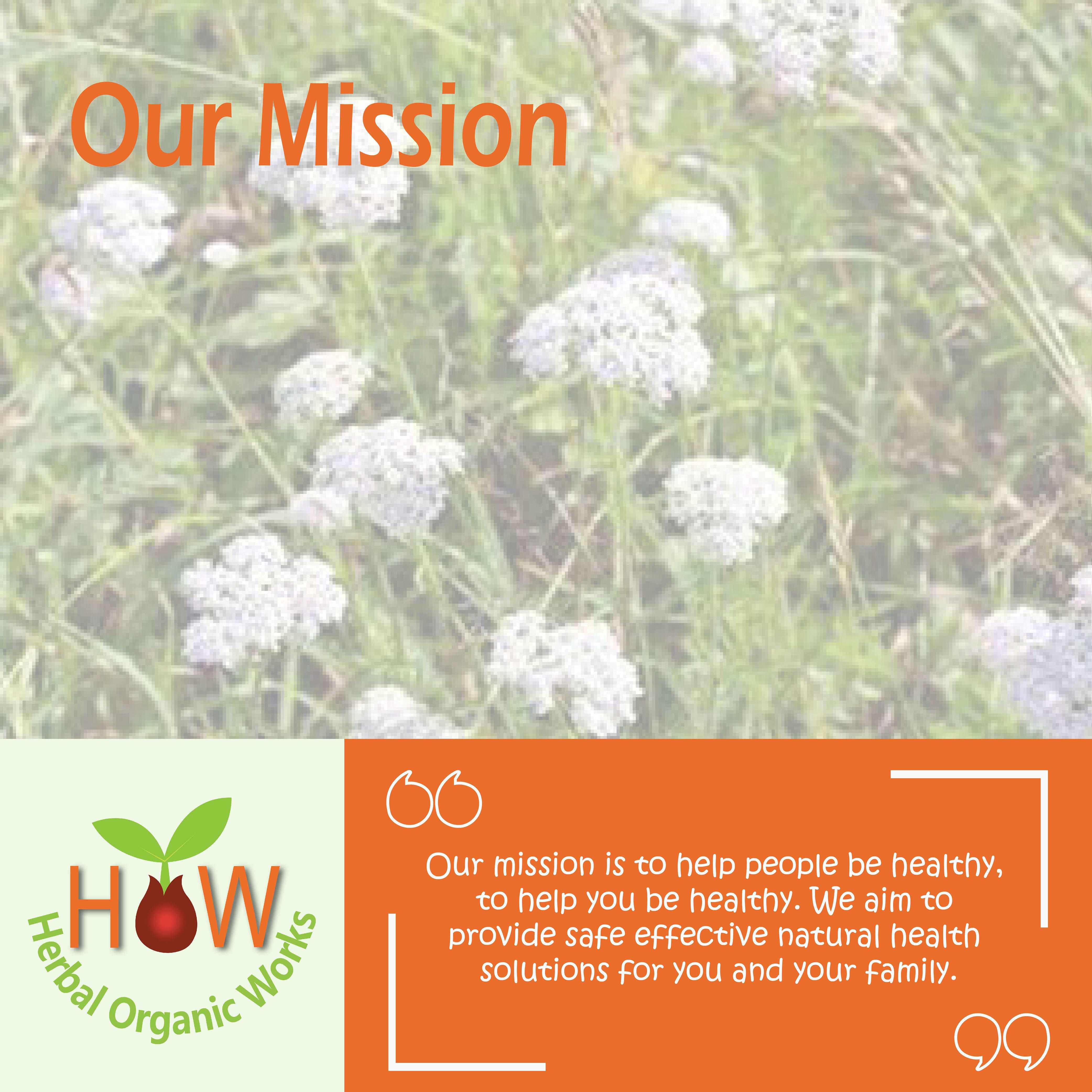 FLUID REGULATION REMEDY | LACTOSE FREE