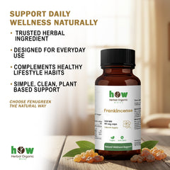 Fenugreek capsules benefits