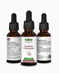 Gastro Formula Extract | Herbal Digestive Support | 1oz