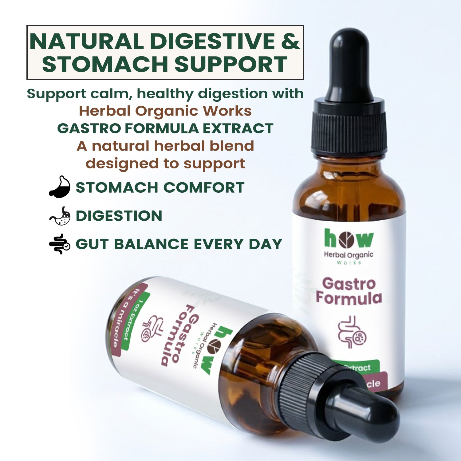 Gastro formula extract