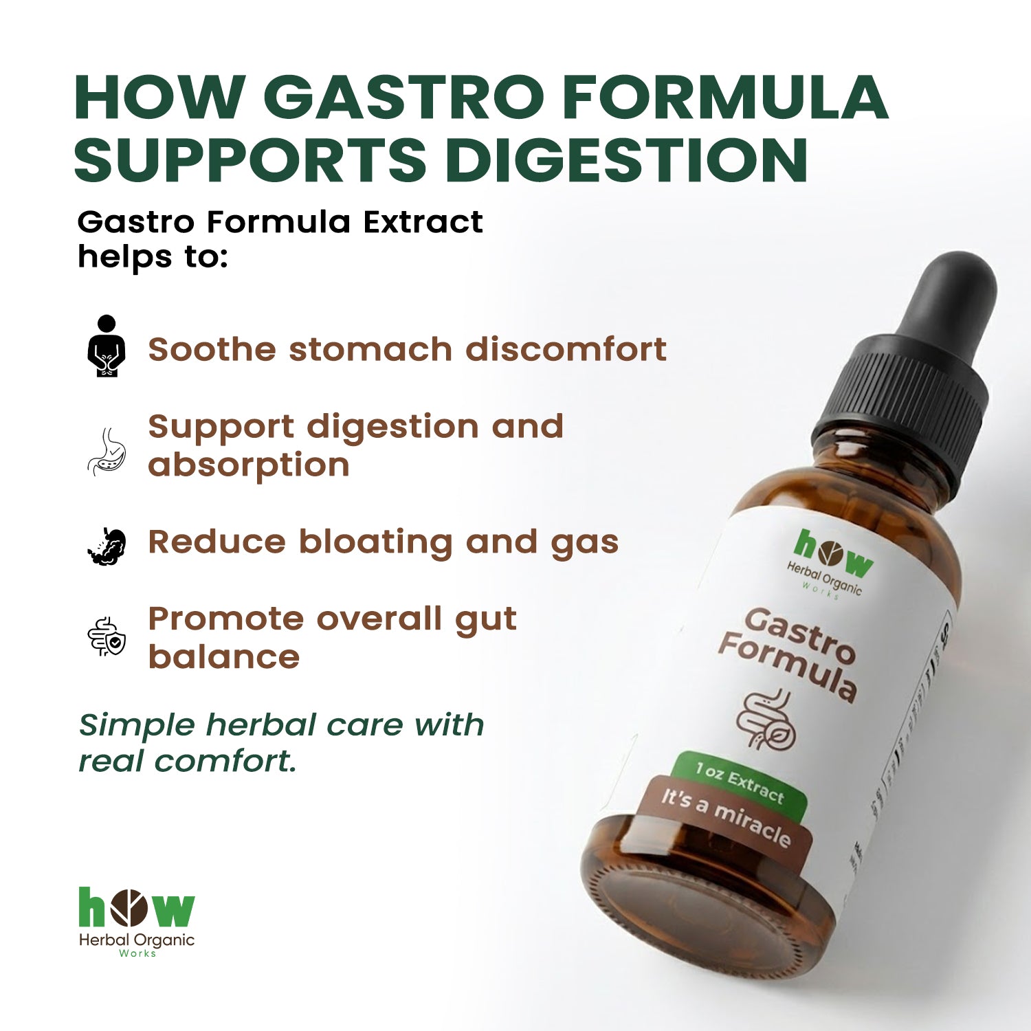 Gastro formula extract for body