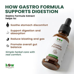 Gastro formula extract for body