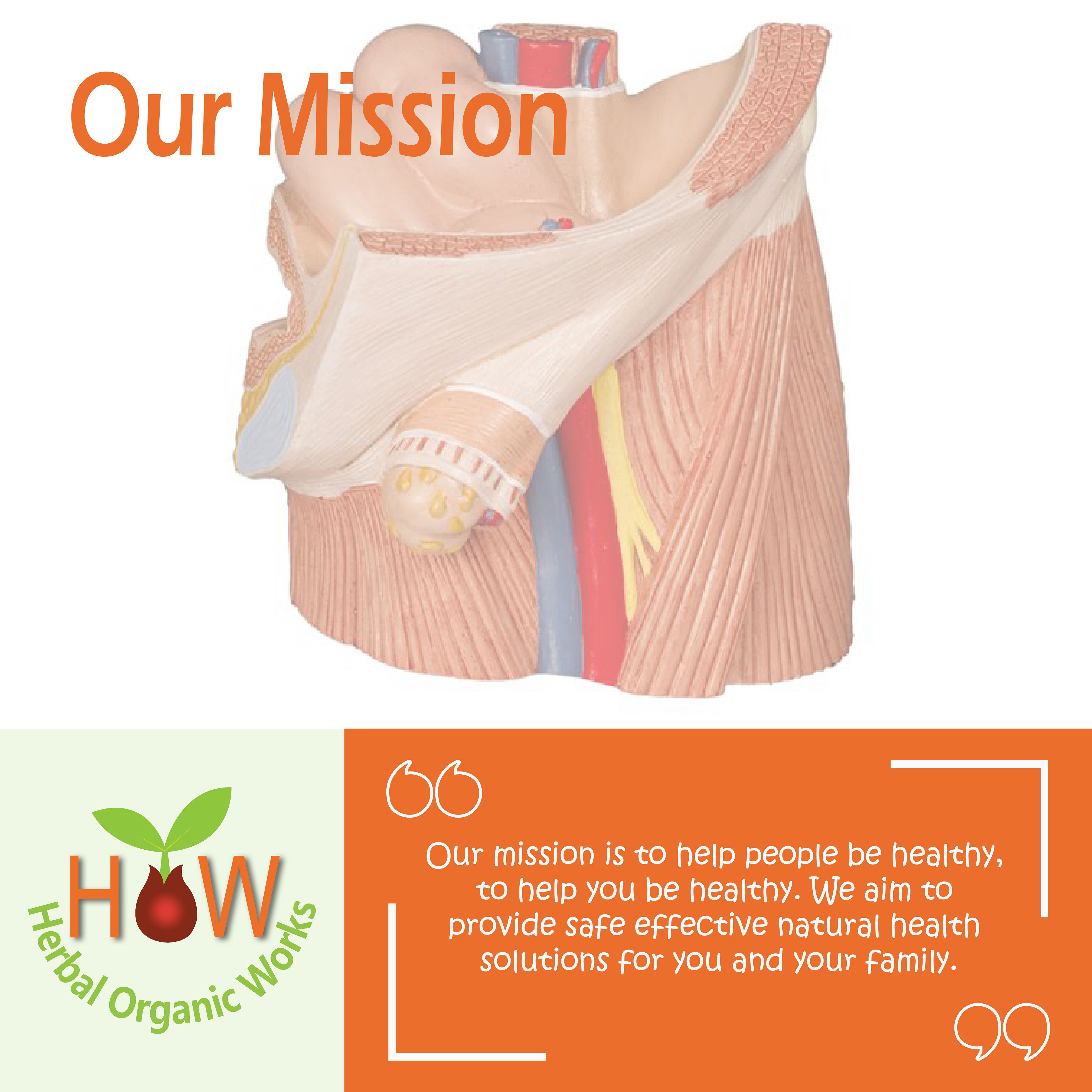 NATURAL REMEDY FOR HERNIA (HOW246)