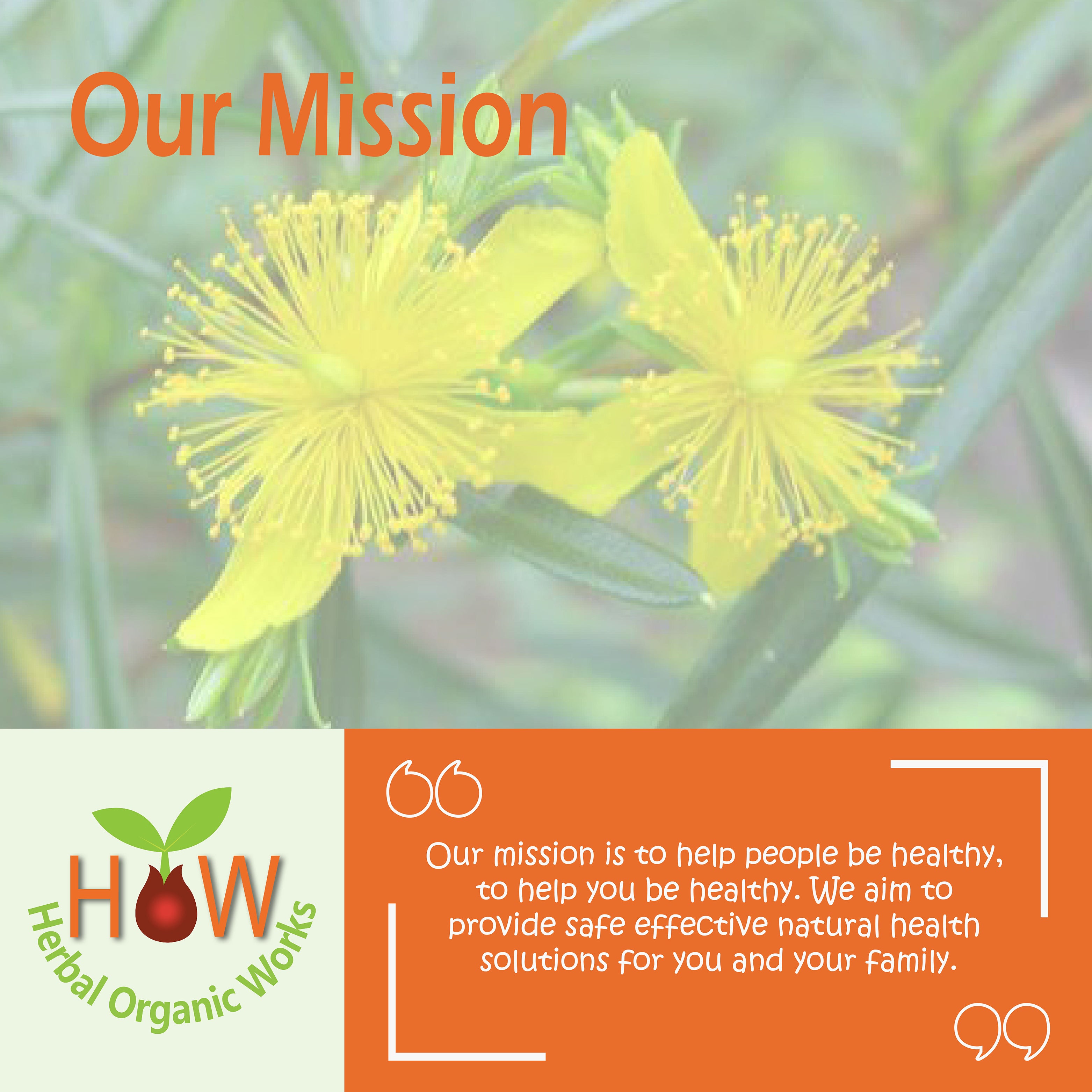 HYPERICUM 30C | INTENSE NERVE PAIN PILLS