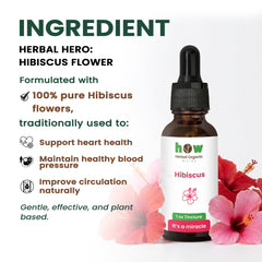 Hibiscus Extract ingredients