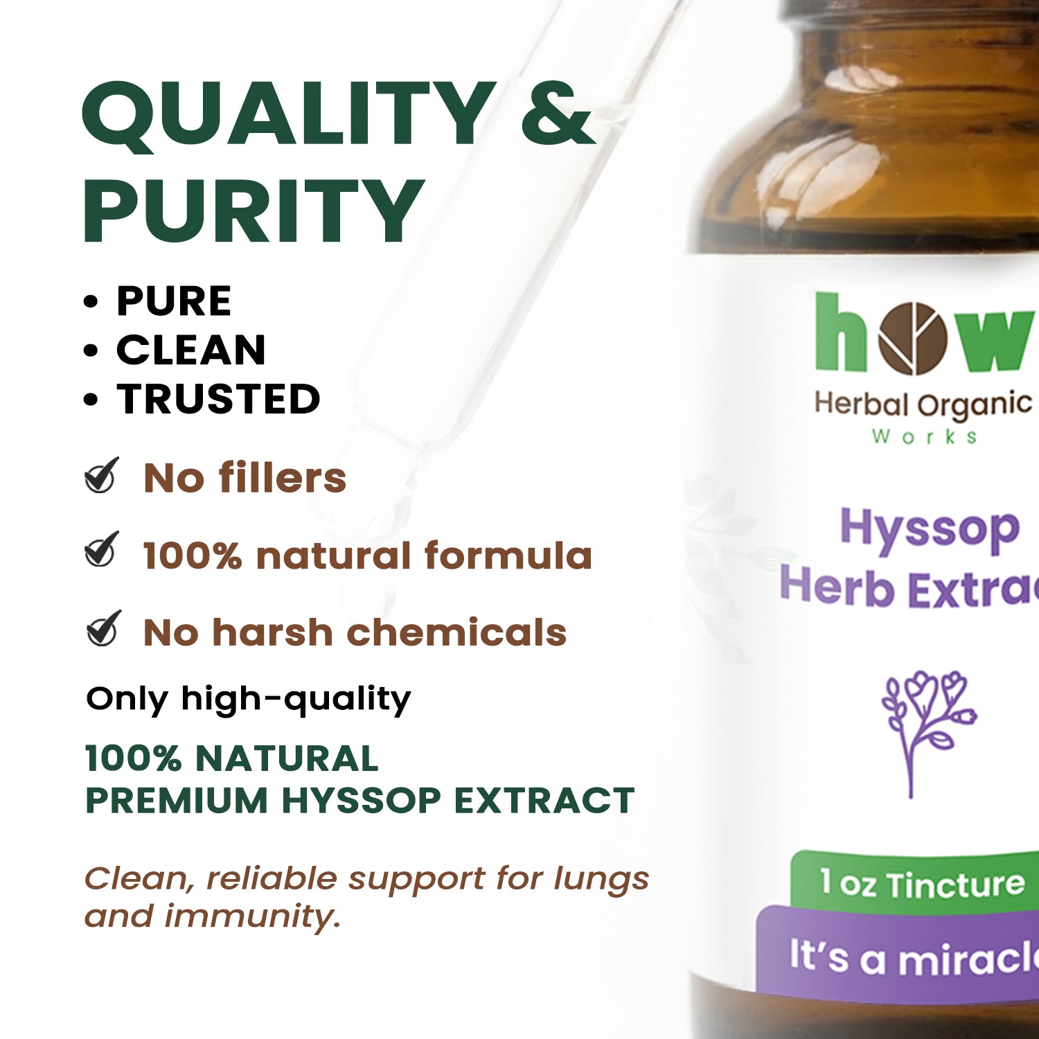 Hyssop herb extract quality