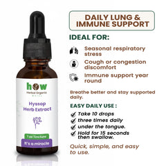 Hyssop herb extract uses