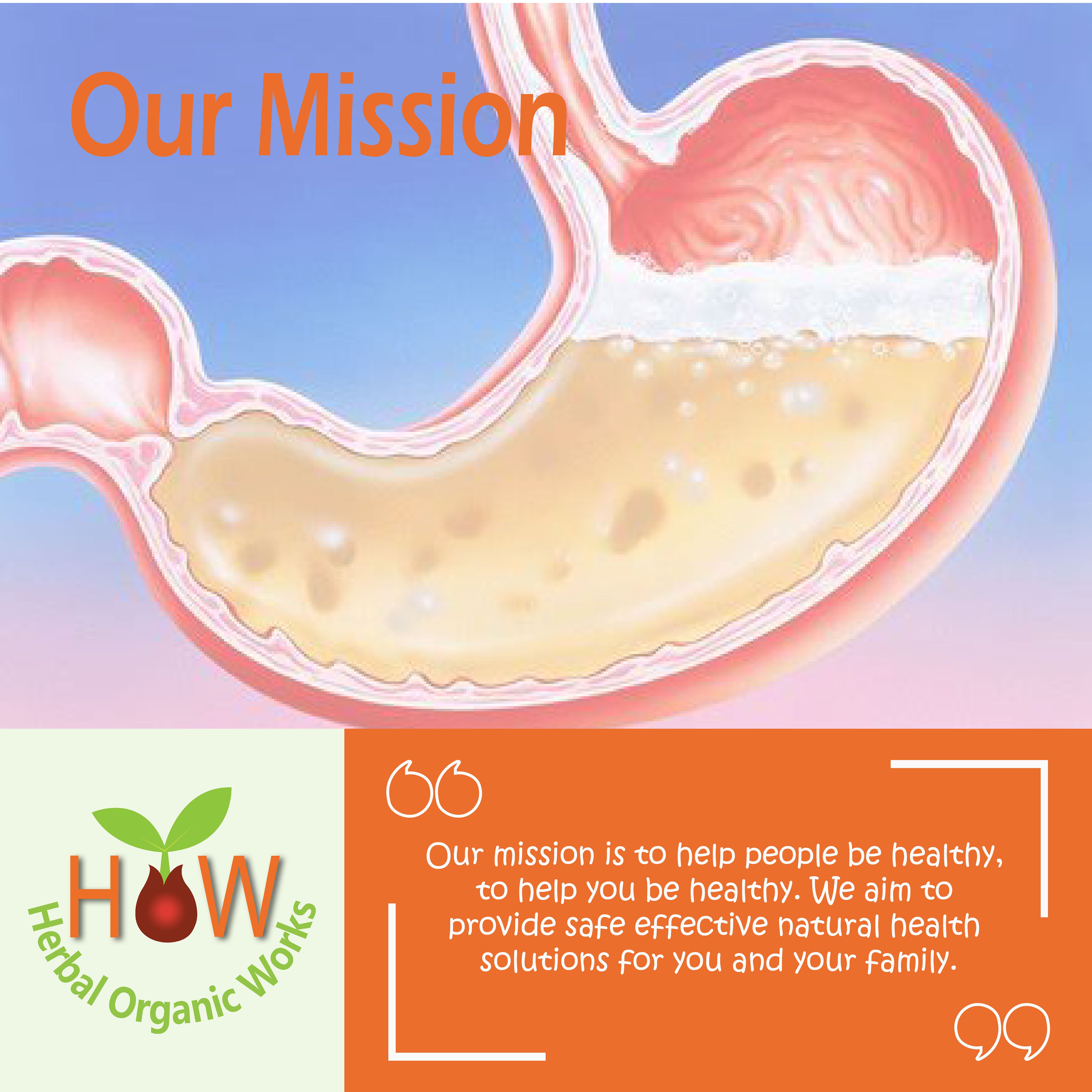 INDIGESTION RELIEF AND SUPPORT REMEDY (HOW170)