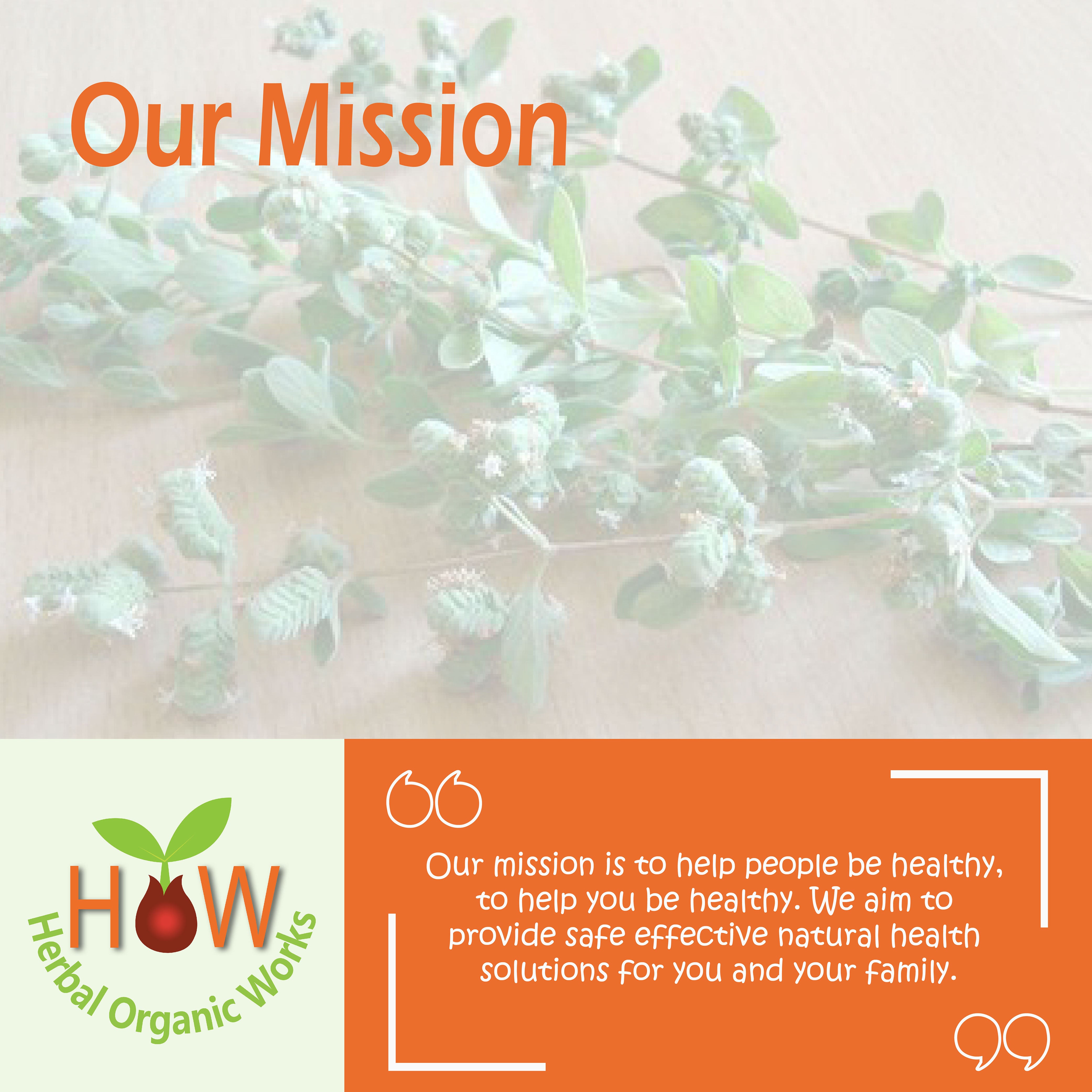 IRON SUPPORT SUPPLEMENTS (BIO1)