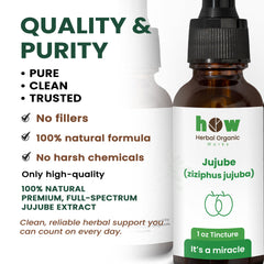 Jujube Extract quality