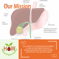 LIVER AND GALLBLADDER DISEASE NATURAL REMEDY (HOW3)
