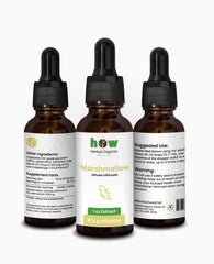 Marshmallow Root Extract – Natural Hydration for Skin & Hair