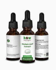 Mullein Leaf Extract for Clear Breathing & Lung Cleansing
