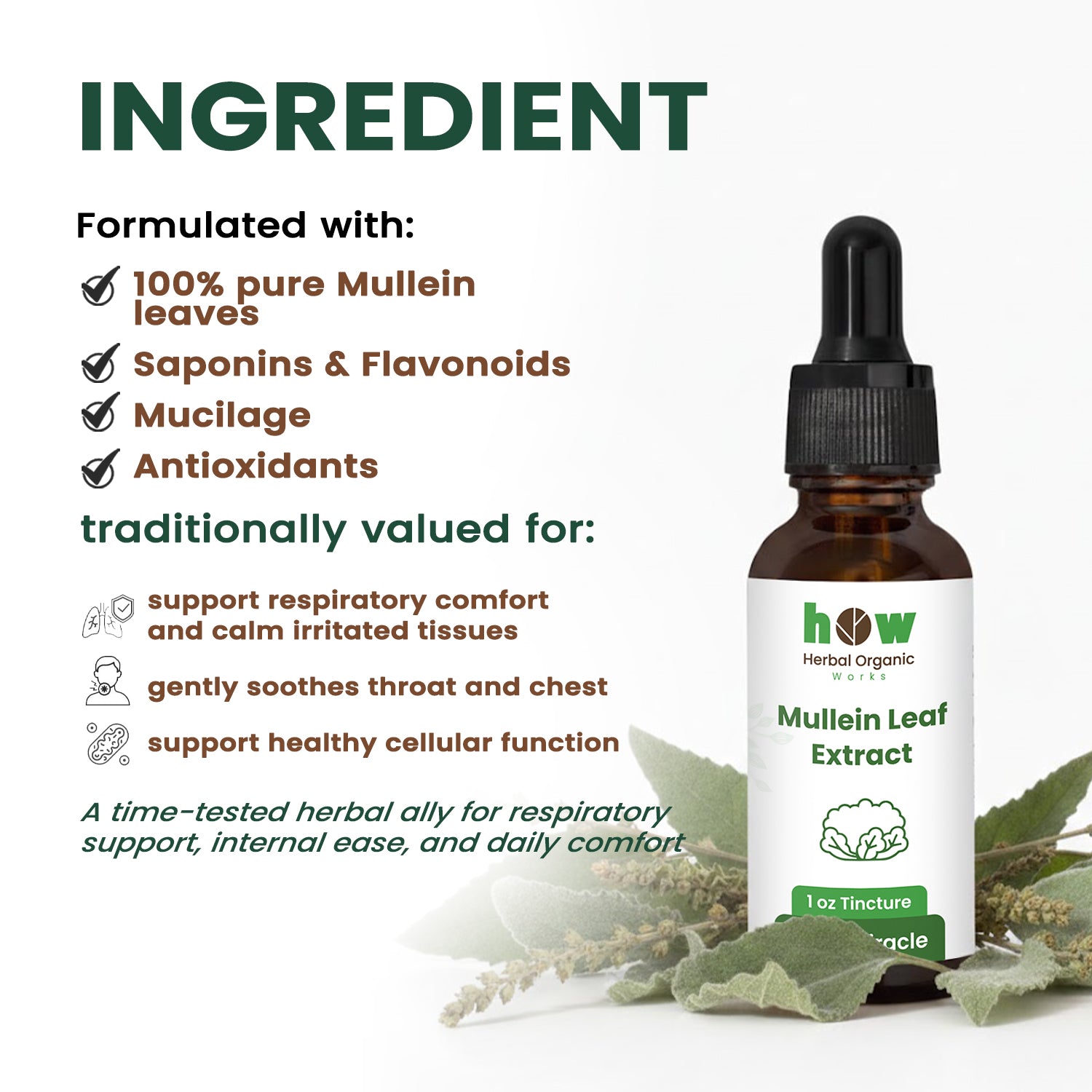 Mullein Leaf Extract ingredients