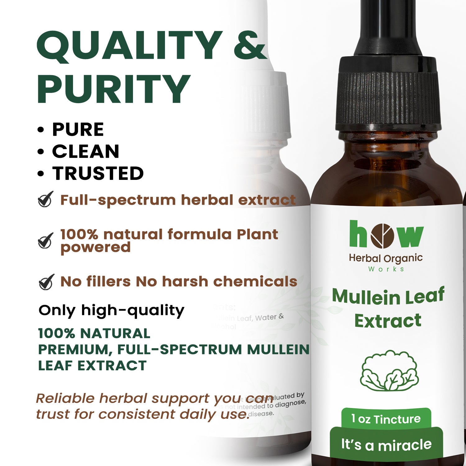 Mullein Leaf extract quality