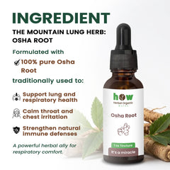 Osha Root extract ingredients