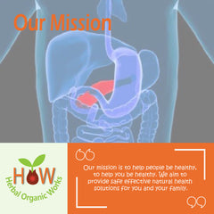 PANCREAS INFLAMMATION NATURAL REMEDY (HOW129)