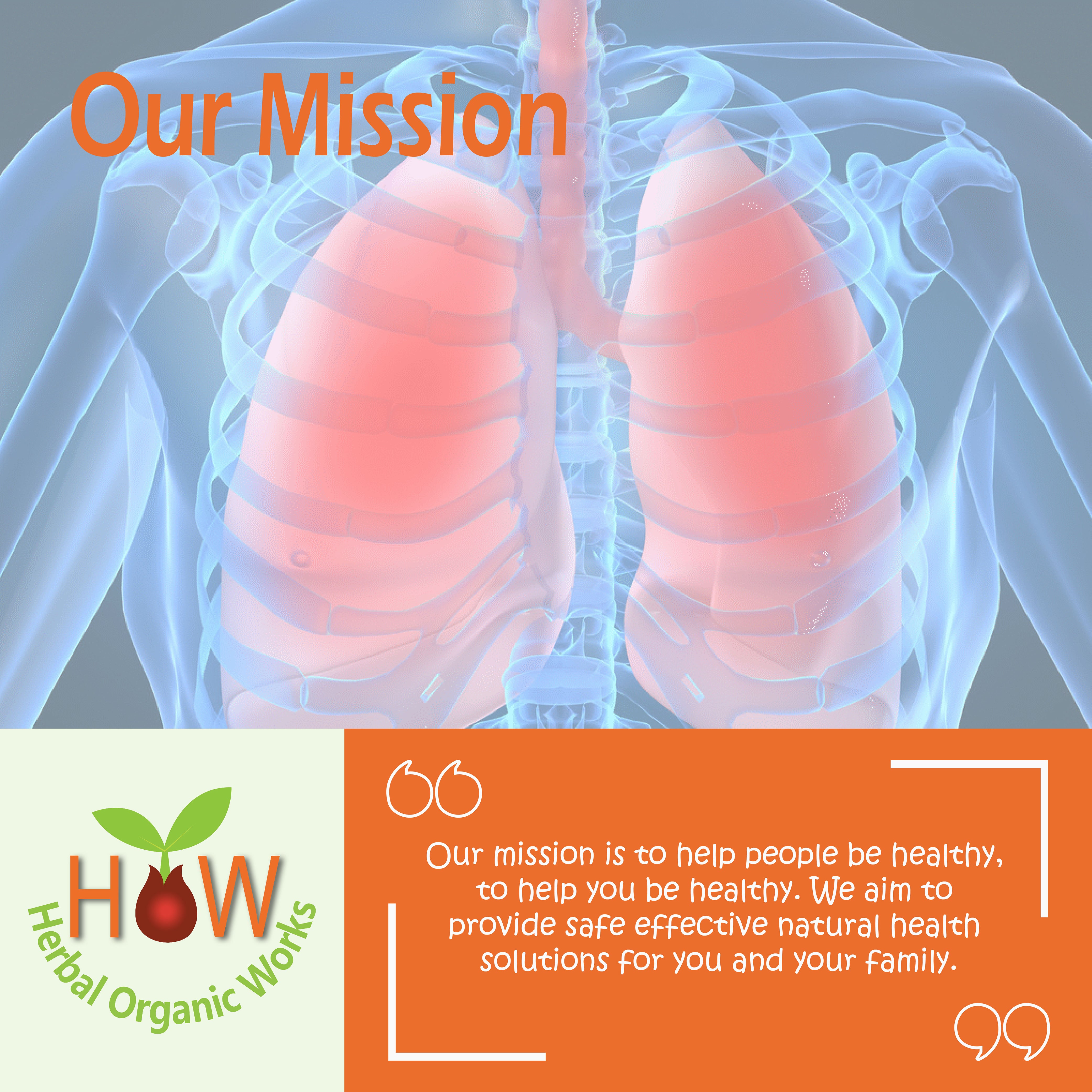 PULMONARY WEAKNESS NATURAL SUPPLEMENT (HOW127)