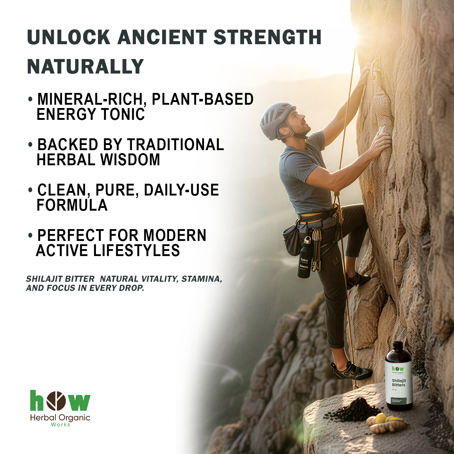 Shilajit Bitters benefits