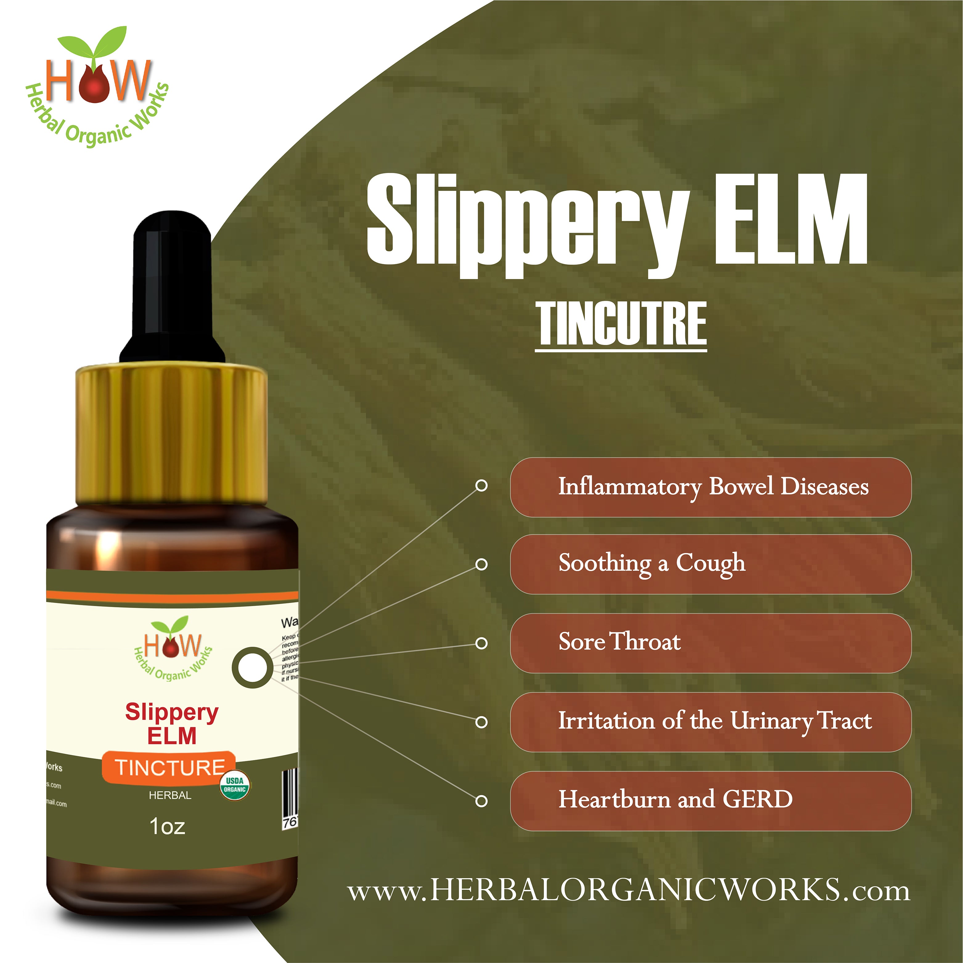 SLIPPERY ELM