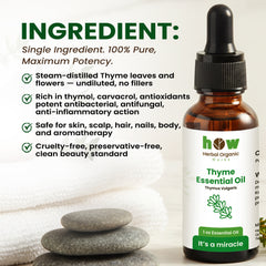 Thyme essential oil ingredients